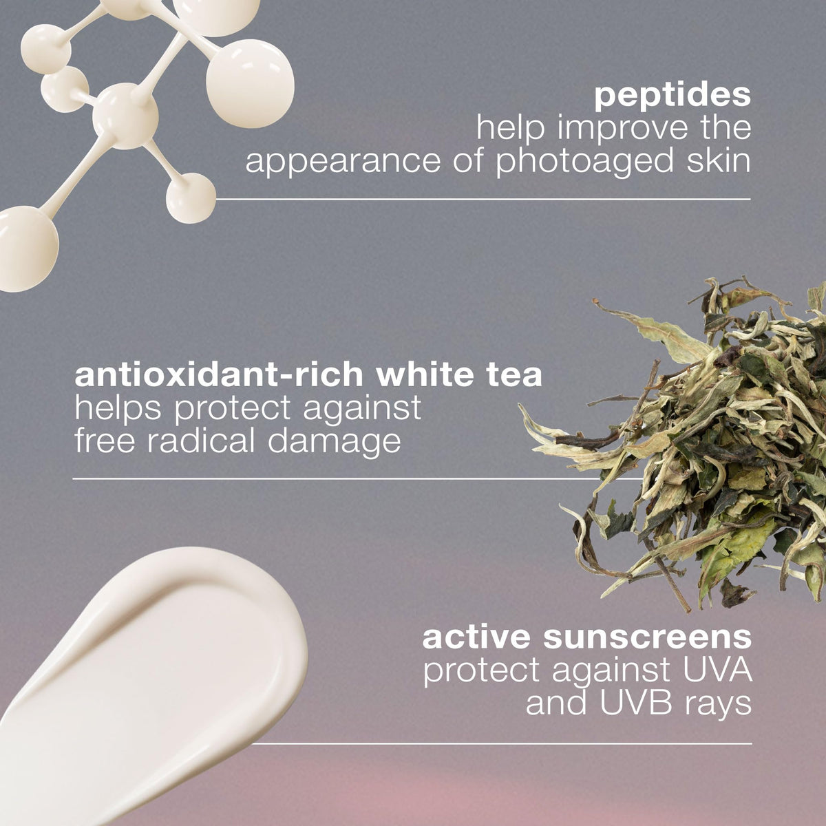 Dermalogica ingredient label close-up highlighting fragrance-free, paraben-free formulation