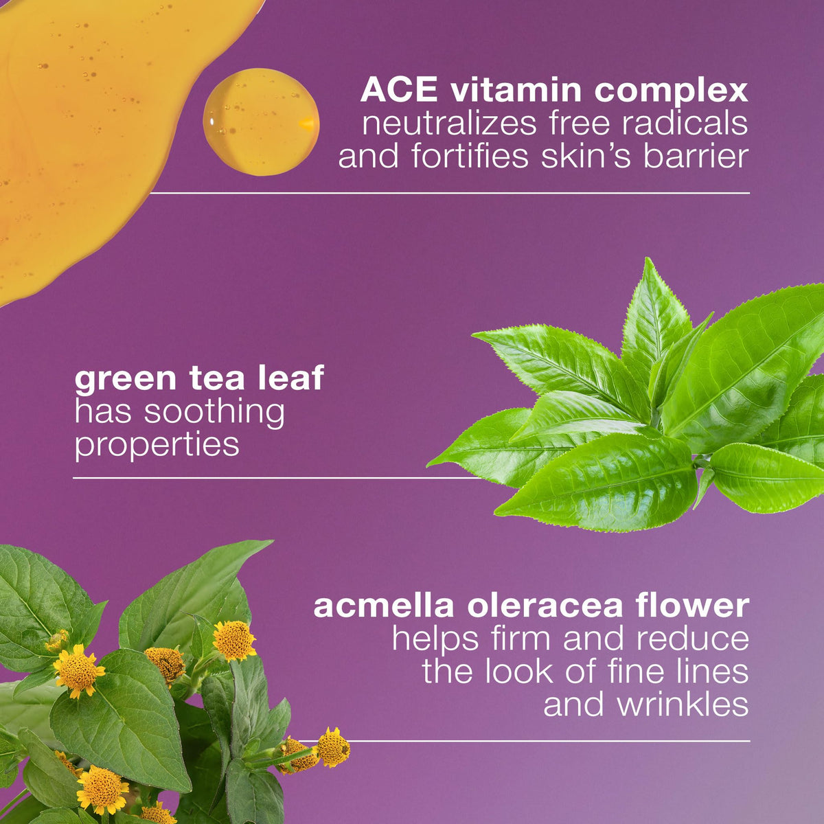 Dermalogica ingredients label with vitamins highlighted benefit: transparency of actives