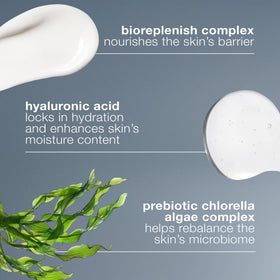 Dermalogica jar next to common objects for size comparison and value