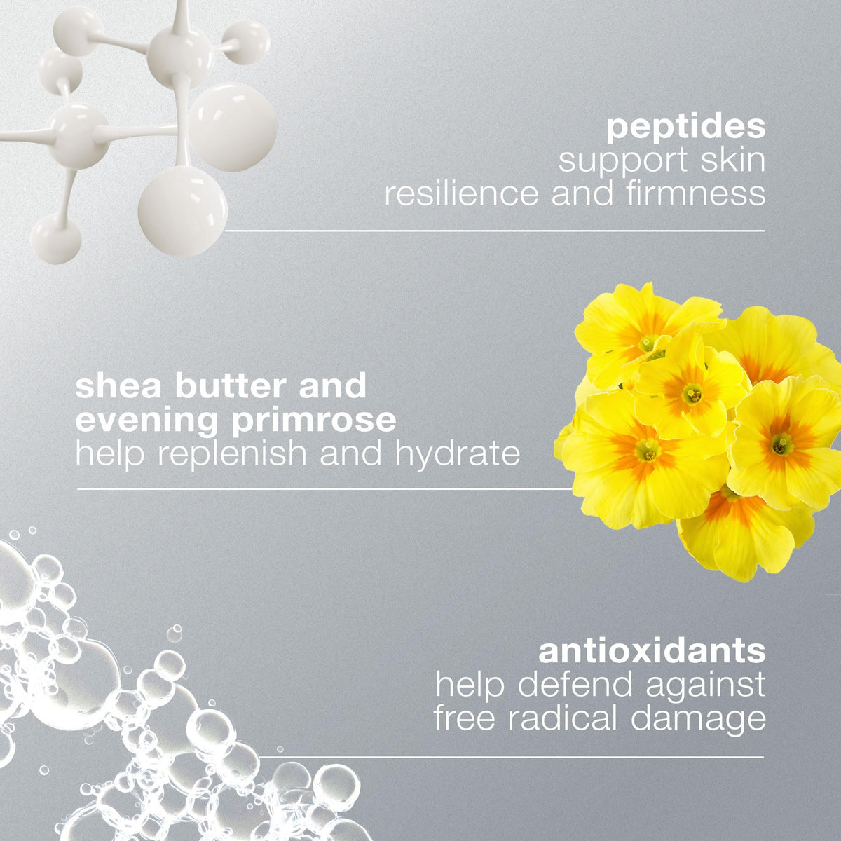 Dermalogica shea butter and evening primrose oil ingredients highlighting lipid replenishment