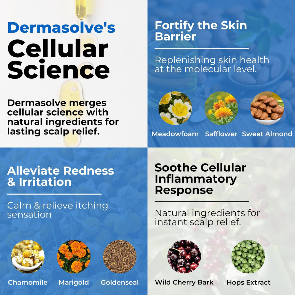 Dermasolve being massaged into scalp to calm itch and loosen flakes