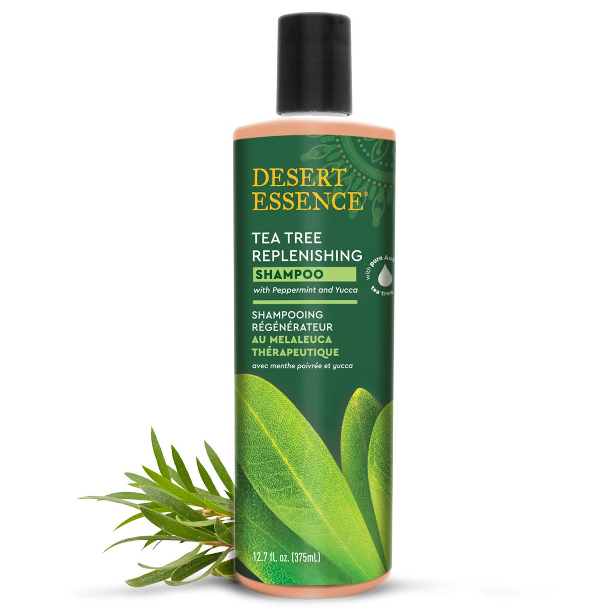 Desert Essence front packaging showing tea tree shampoo and large 12.9 fl oz size benefit