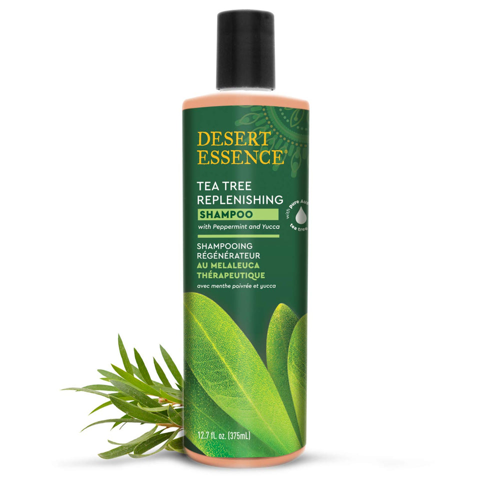 Desert Essence front packaging showing tea tree shampoo and large 12.9 fl oz size benefit