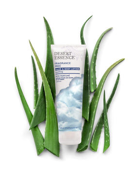 Desert Essence natural ingredients display of shea, jojoba and coconut for rich moisture