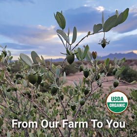 Desert Oasis Skincare jojoba and beeswax ingredients highlighting purity