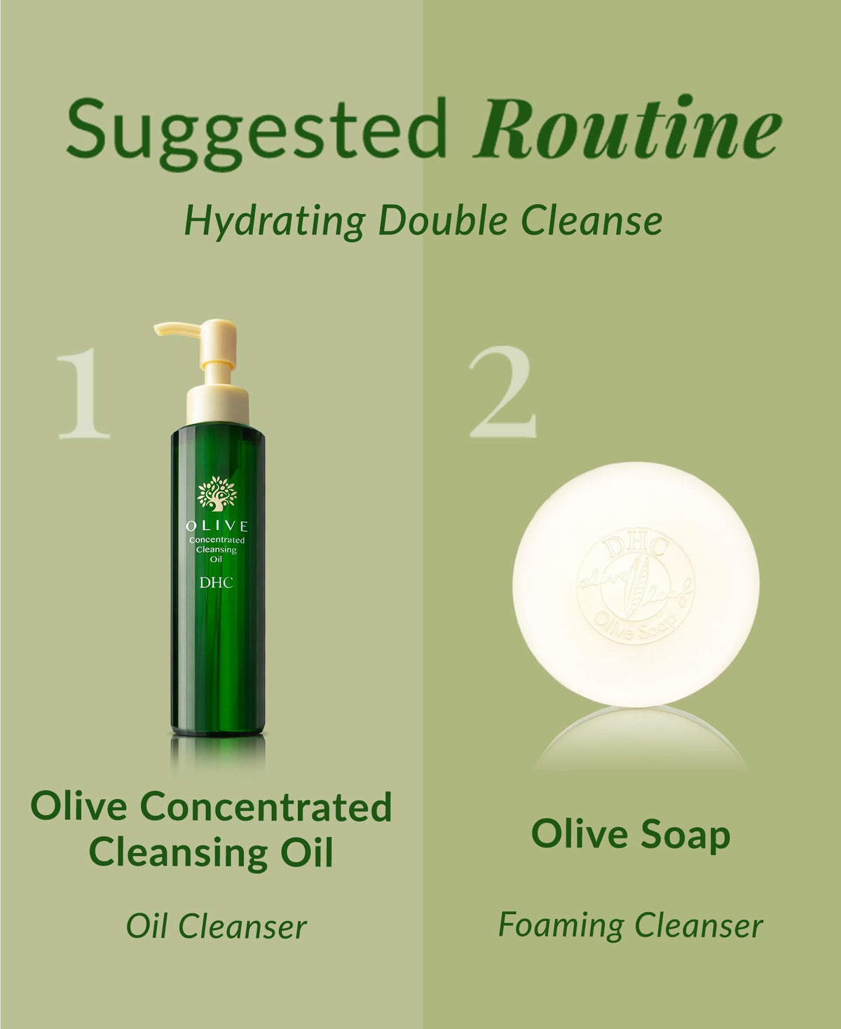 DHC olive soap with olive leaves illustrating antioxidant ingredient benefit