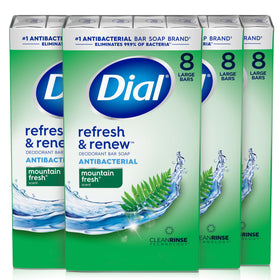 Dial front packaging showing Mountain Fresh scent and antibacterial benefit