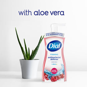 Dial Power Berries with aloe vera image emphasizing skin-soothing benefit