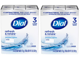 Dial front packaging showing two-pack and benefit of antibacterial protection