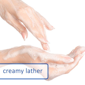 Dial in-hand washing at sink demonstrating quick effective cleansing