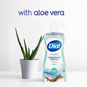 Dial texture foam on palm demonstrating soft, moisturizing lather