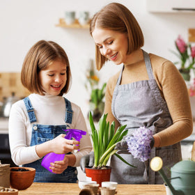 DilaBee spraying a countertop illustrating easy light-cleaning convenience benefit