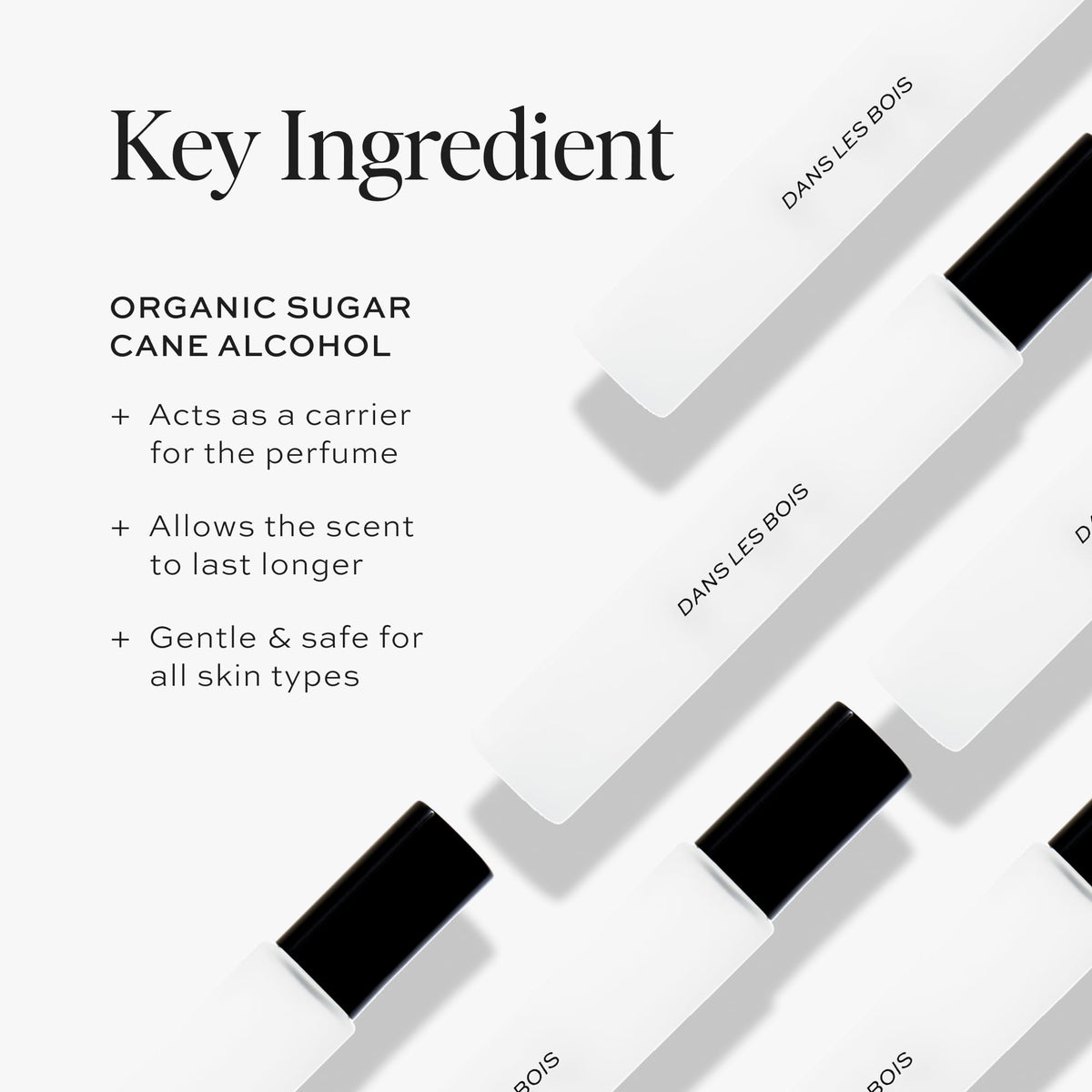 DIME cedarwood ingredient shot emphasizing woody note and long-lasting base benefit