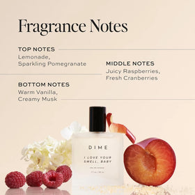 DIME closeup spray nozzle highlighting fine mist delivery for controlled, even application