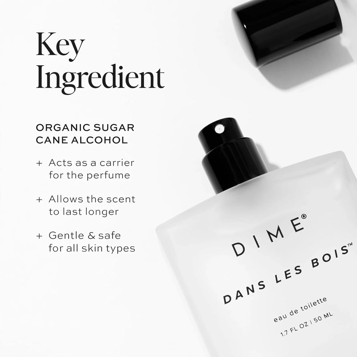 DIME ingredients flatlay with cedarwood and saffron showing natural notes
