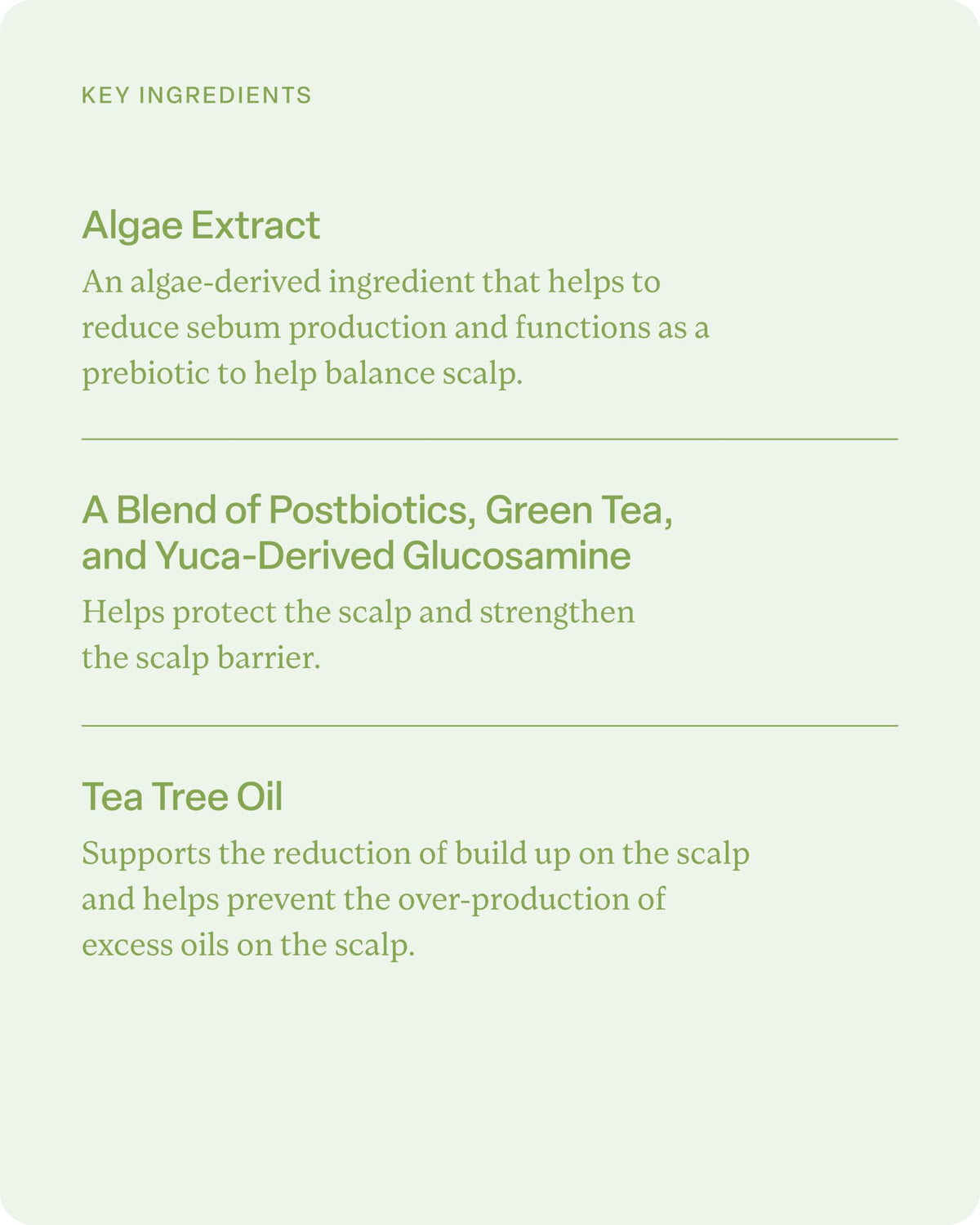 Divi algae and tea tree ingredient visual emphasizing natural nourishment