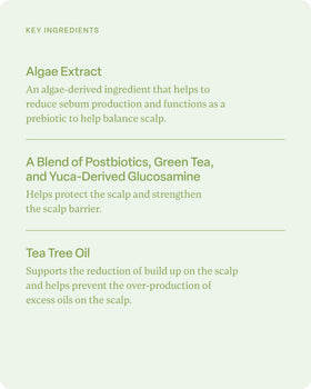 Divi algae and tea tree ingredient visual emphasizing natural nourishment