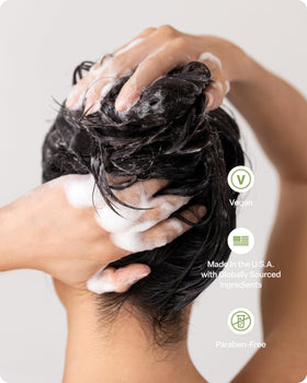 divi ingredients display with green tea and rice protein for scalp support