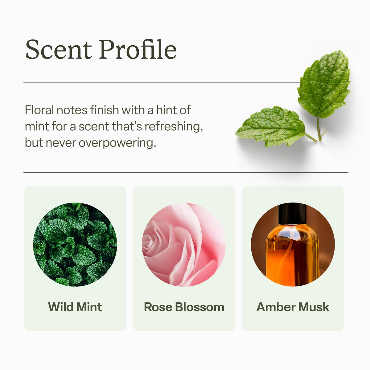 Divi micro-algae ingredient visual suggesting scalp protection and strength