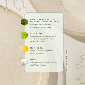 Divi shampoo and conditioner paired to show recommended combo for fuller, softer hair