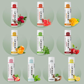 Dmsky assorted flavors top-down view highlighting variety and choice
