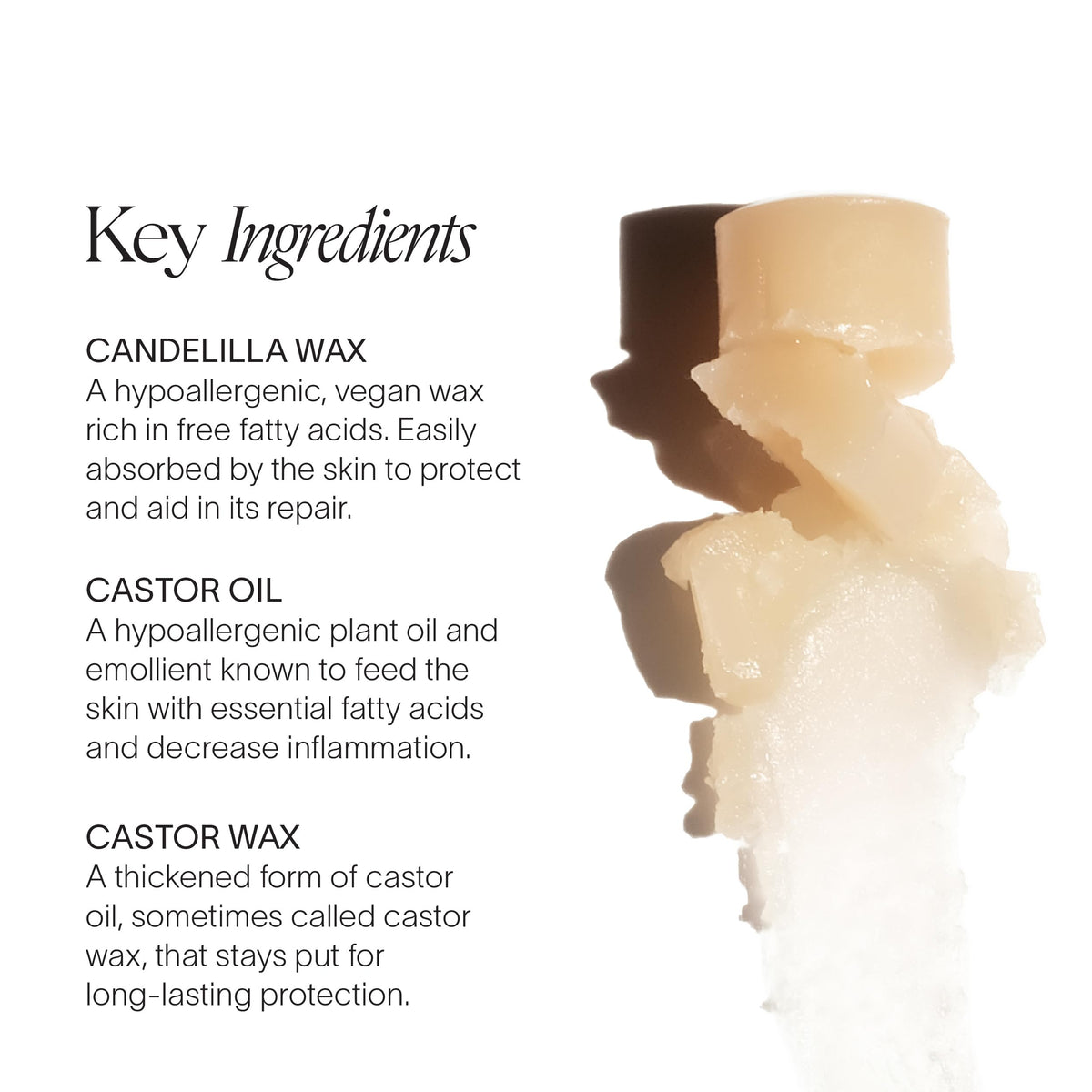 Doctor Rogers lip balm with candelilla wax visual highlighting natural hydration