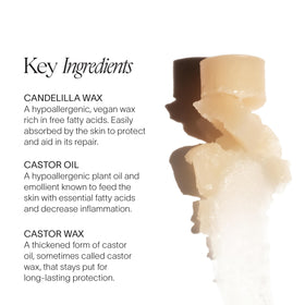 Doctor Rogers lip balm with candelilla wax visual highlighting natural hydration