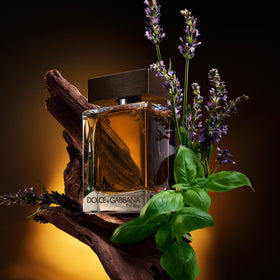 Dolce&Gabbana bottle detail close-up highlighting cap and glass, emphasizes premium finish