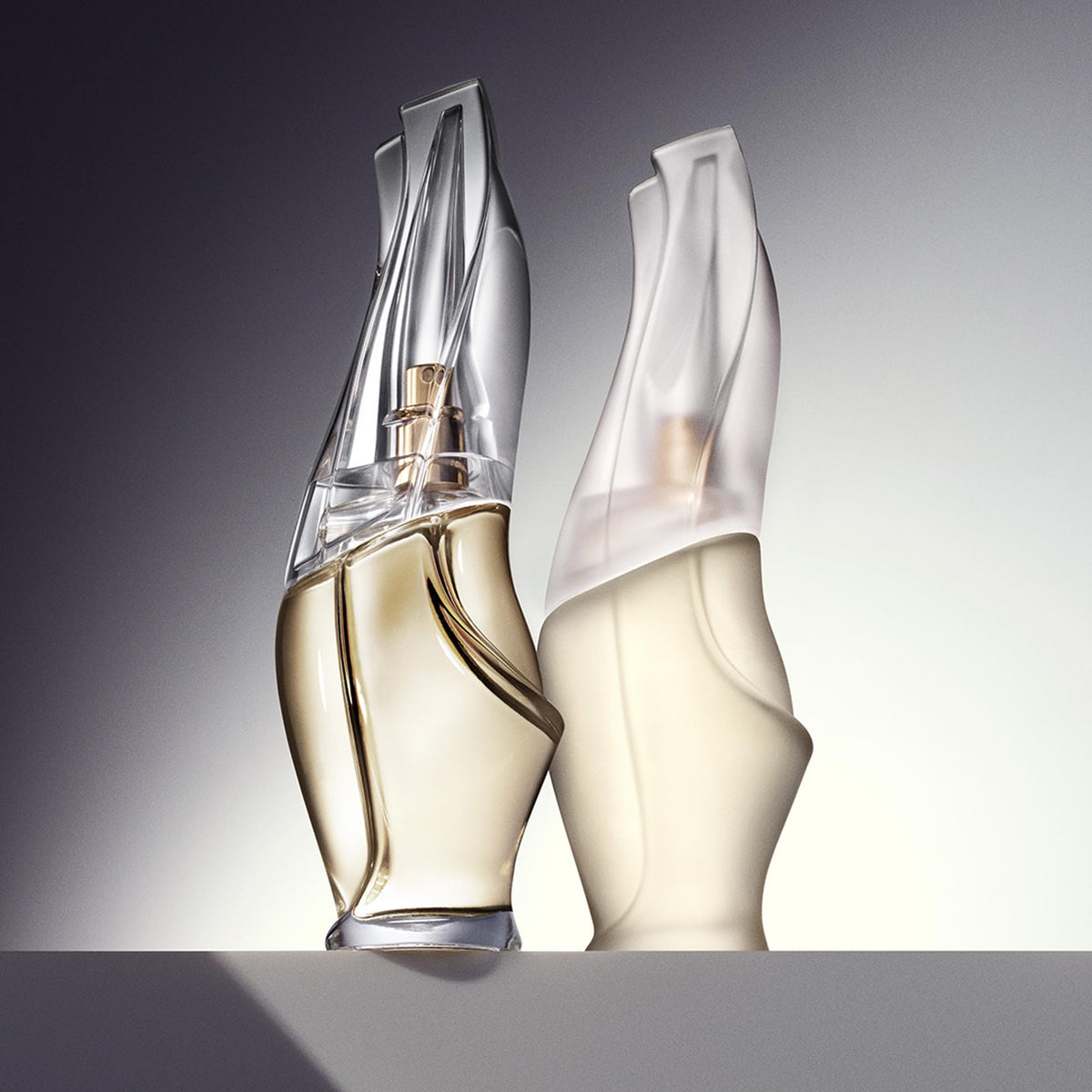 Donna Karan label close-up showing fragrance notes and benefit of clear ingredient cues