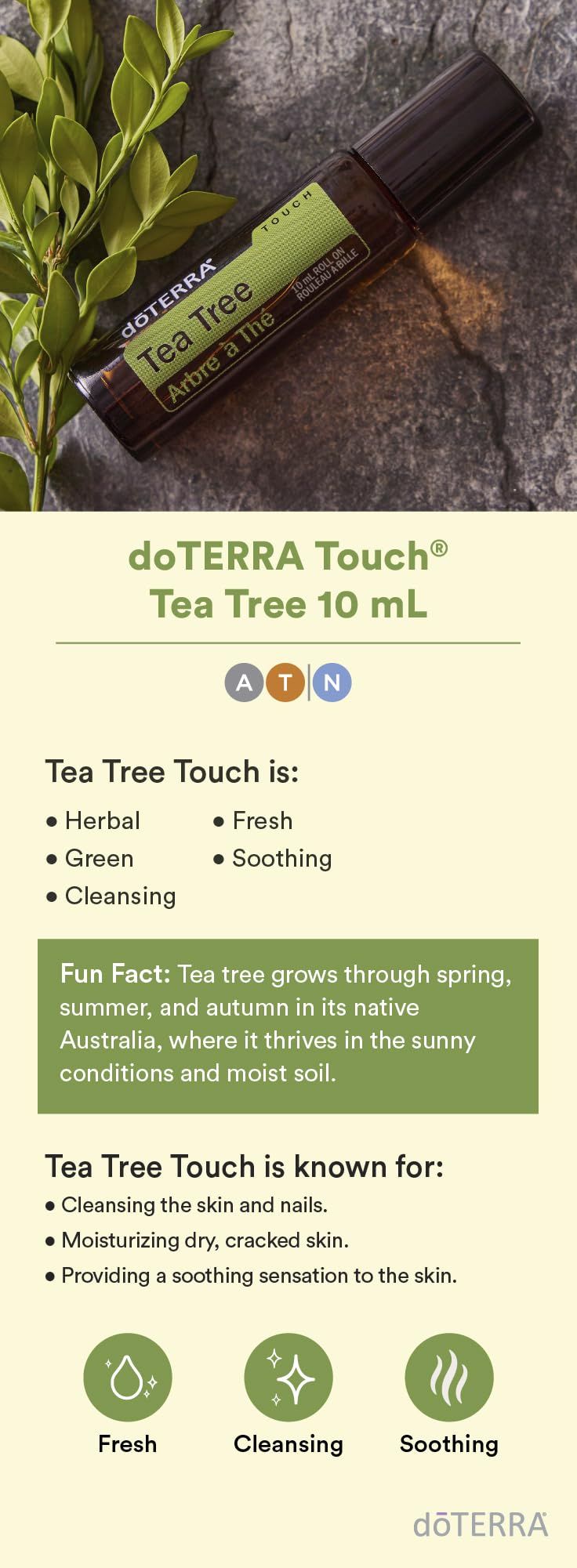 doTERRA Melaleuca Touch label close-up highlighting product name and dilution