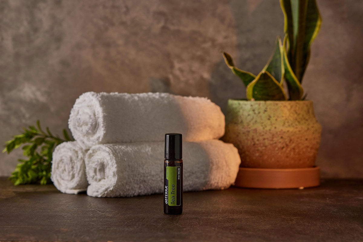 doTERRA Melaleuca Touch boxed packaging emphasizing secure storage and gifting