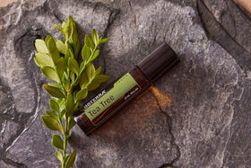 doTERRA Melaleuca Touch roll-on application on wrist demonstrating easy on-the-go use
