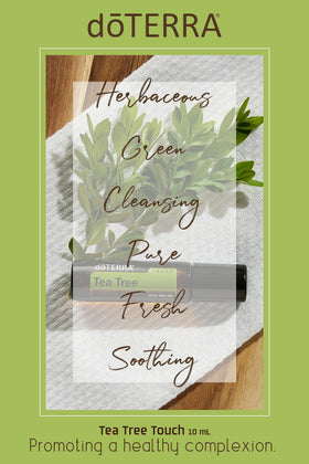 doTERRA Melaleuca Touch roller releasing a small oil texture drop for skin-friendly use