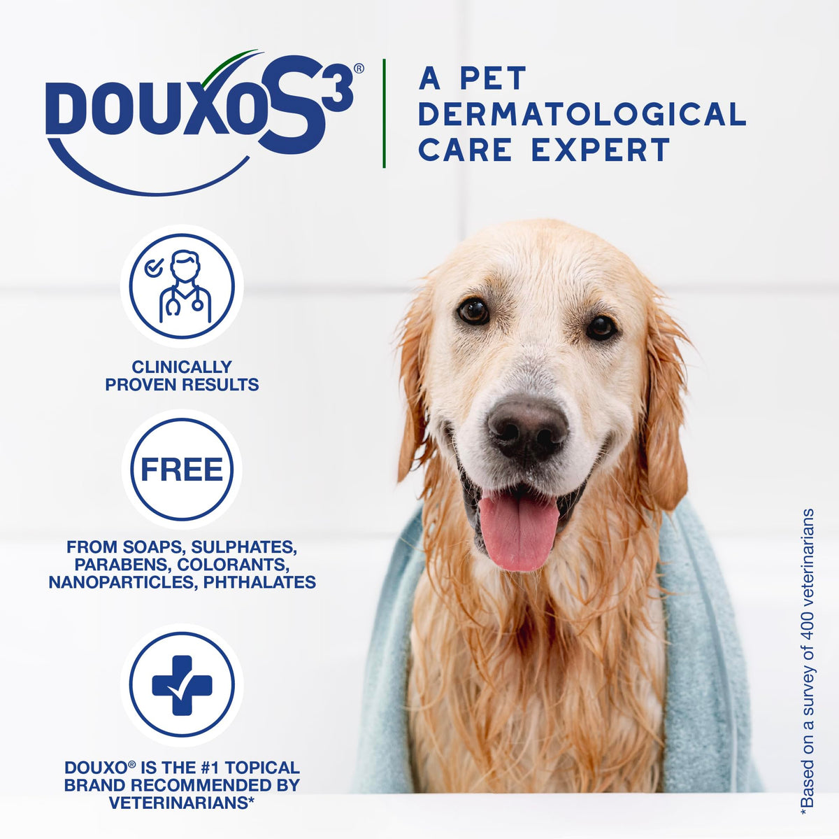 Applying Douxo mousse on dog to control sebum and reduce flaky skin odor