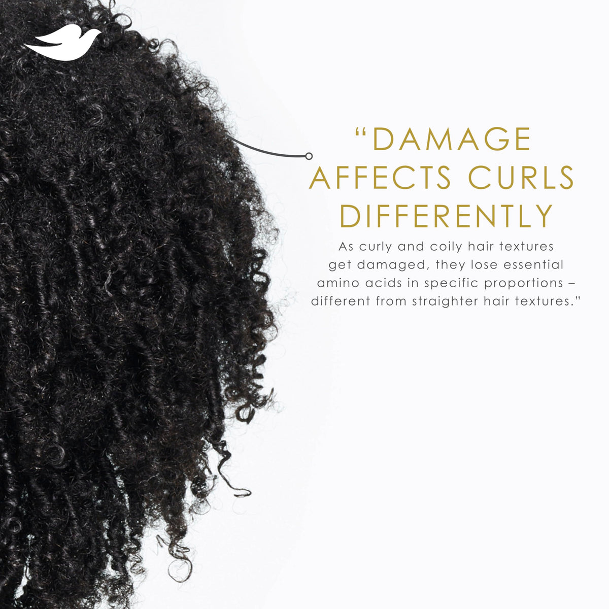 Applying Dove Amino Curl cream to curly hair for improved manageability