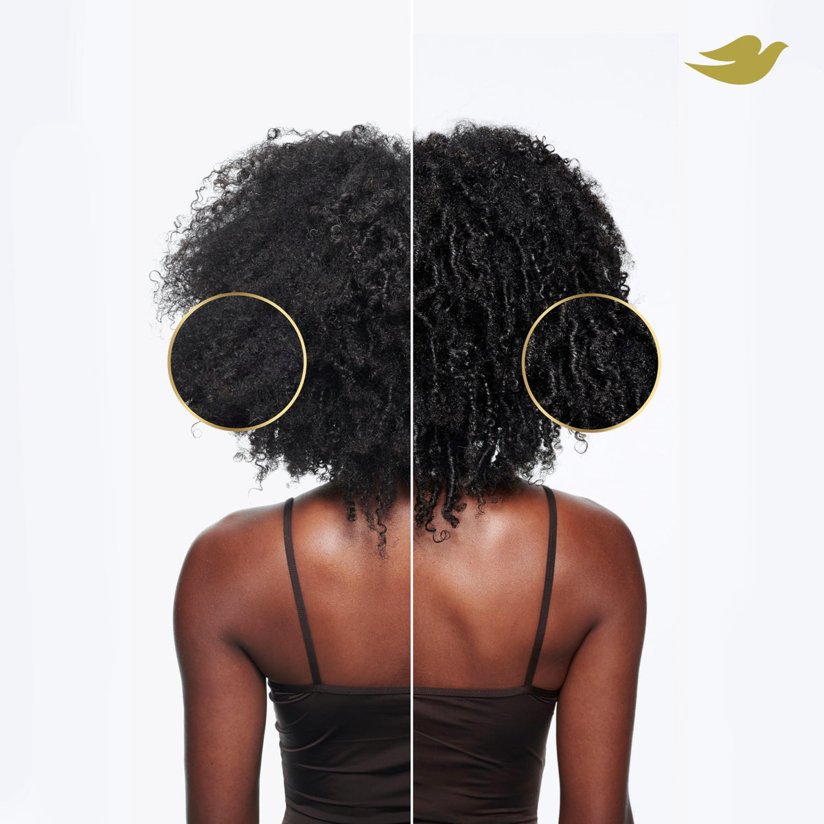 Dove products staged in bathroom styling routine for defined curls