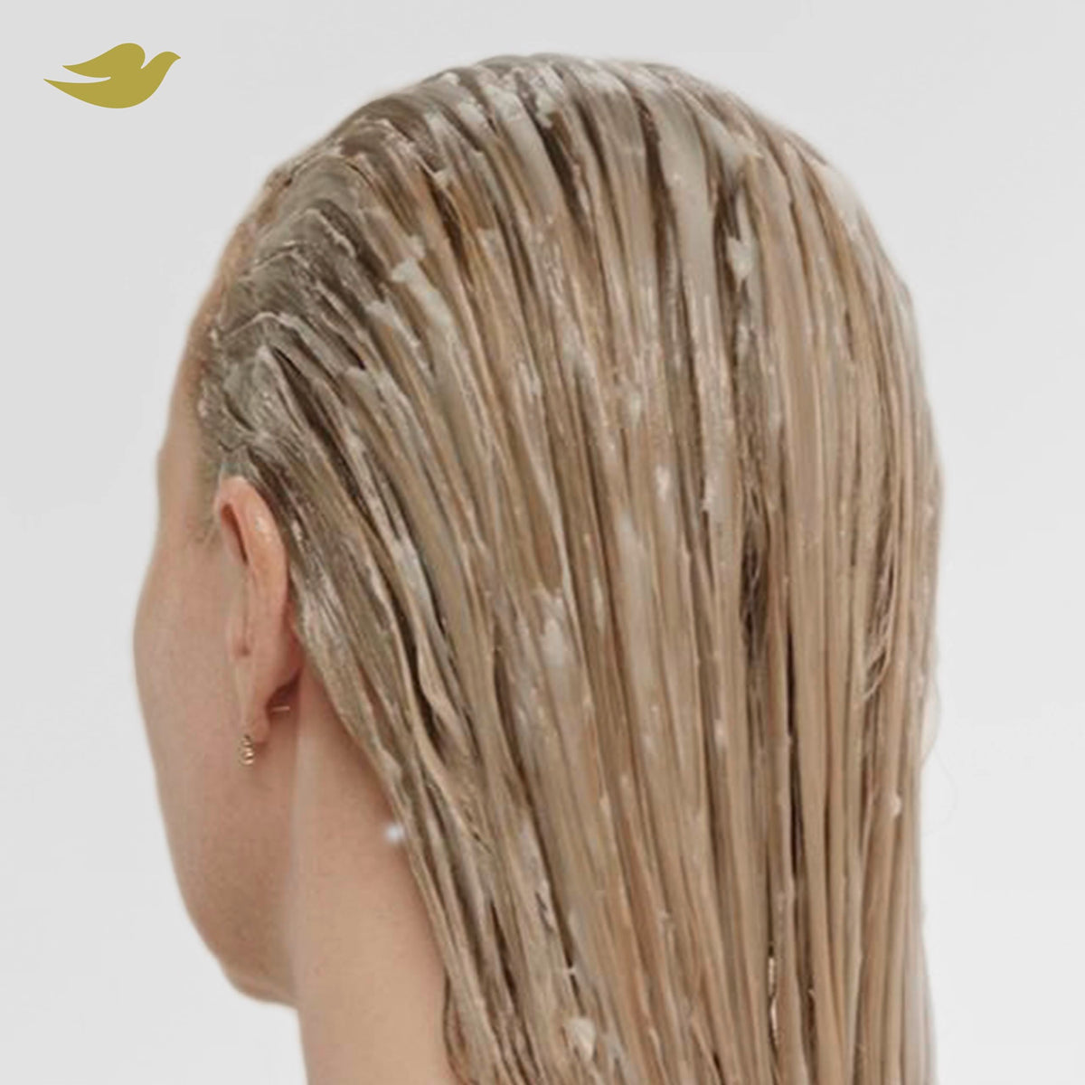 Dove products arranged on shower shelf for daily hair care convenience