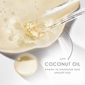 Coconut oil ingredient image representing Dove's moisturizing coconut benefit