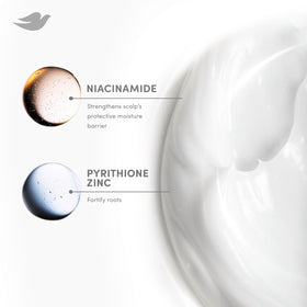 Dove derma scalp before and after visual showing reduced flakes and healthier hair