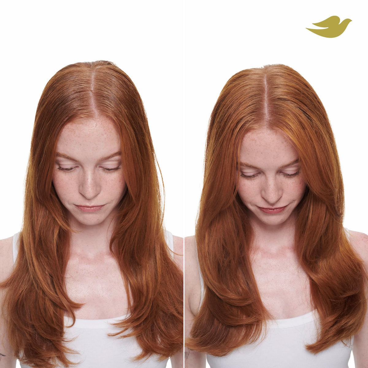 Dove texture shot of product on roots adding volume and oil control