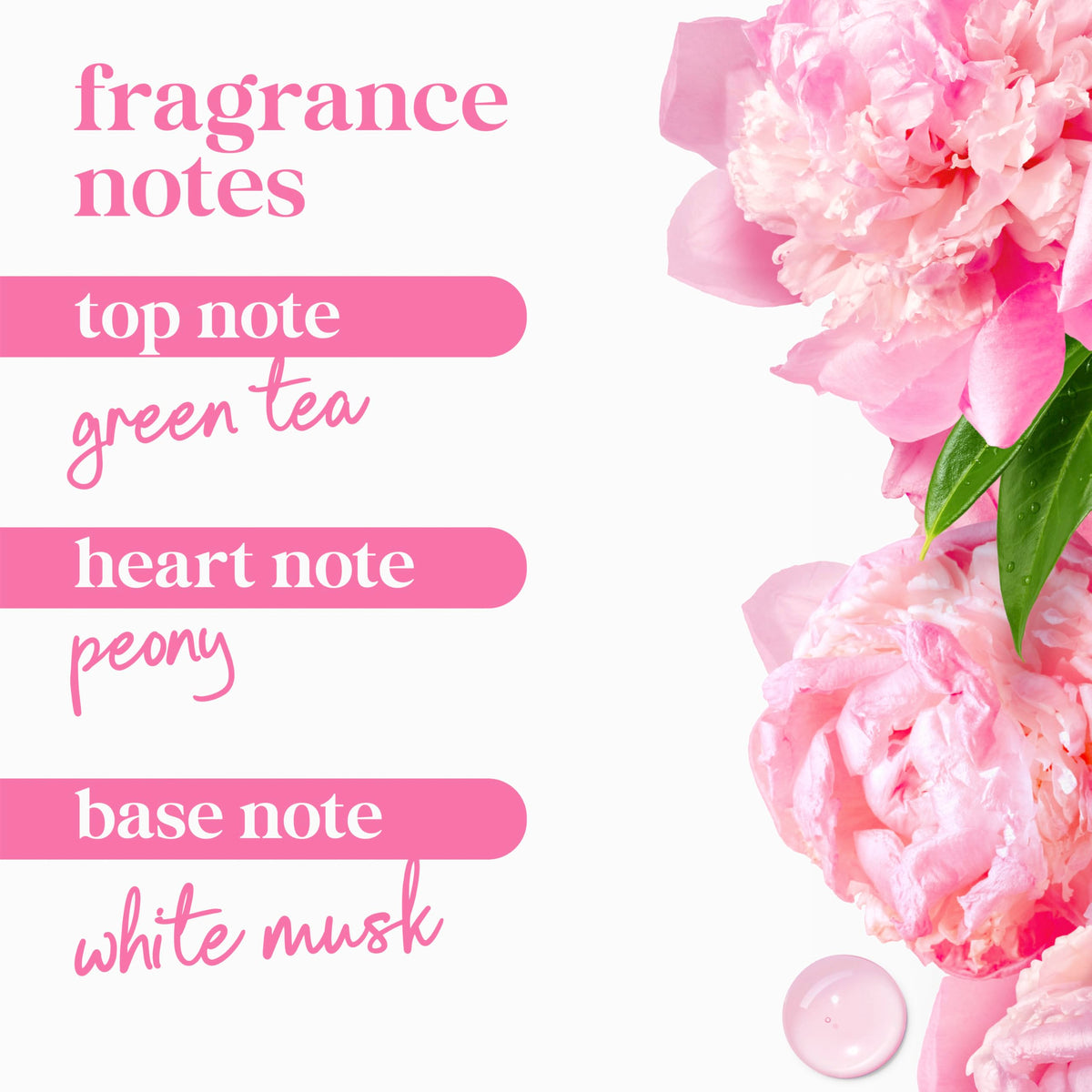 Peony and rose oil visual representing Dove fragrance notes