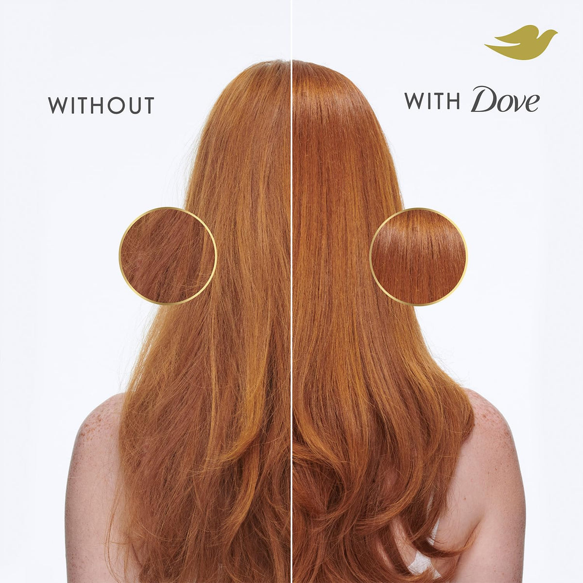 Dove before and after hair photo showing fuller, more lifted hair