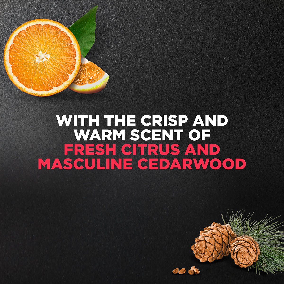 DOVE MEN + CARE label on recycled-plastic bottle highlighting sustainable packaging