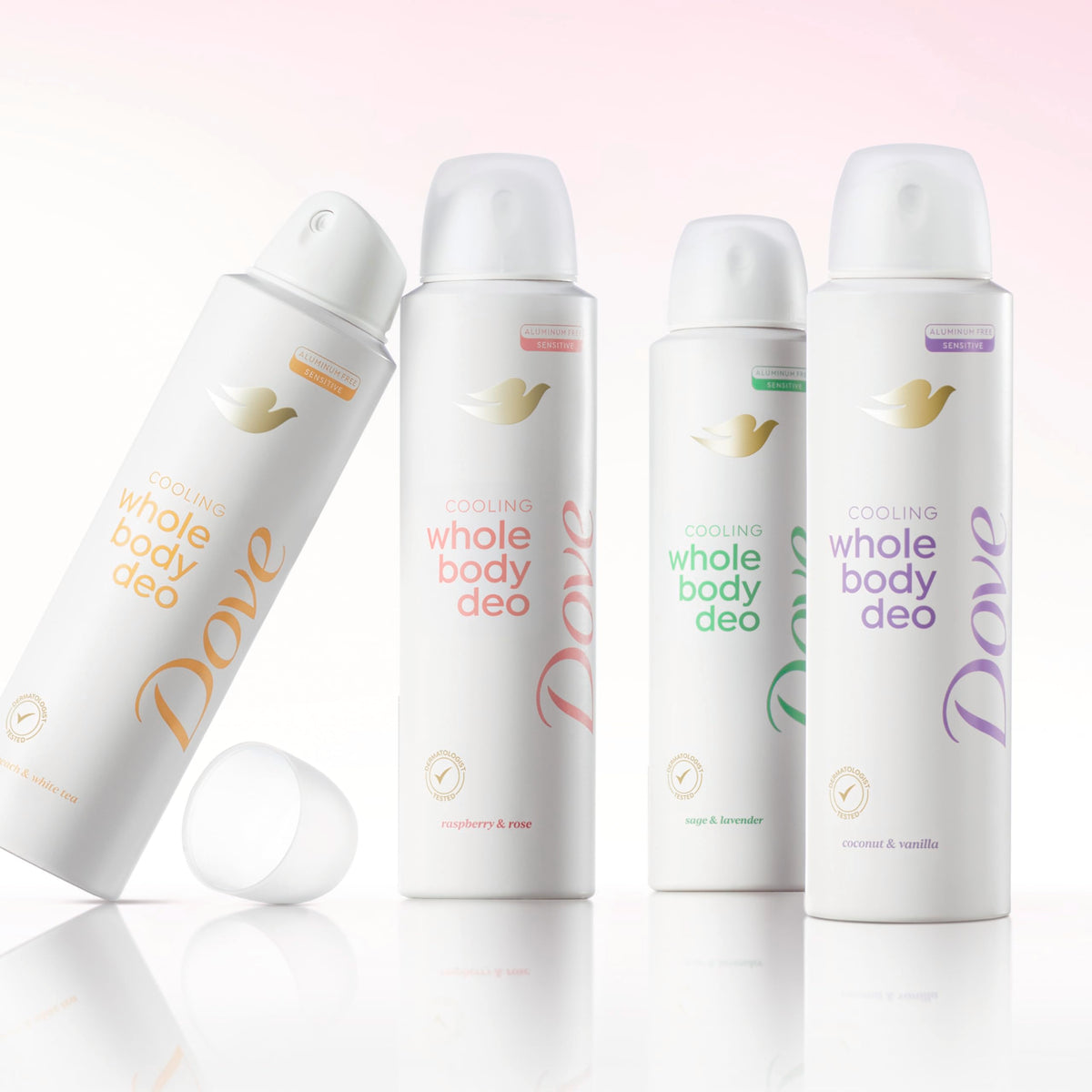 Dove Raspberry & Rose ingredient label highlighting glycerin and vitamin E benefits