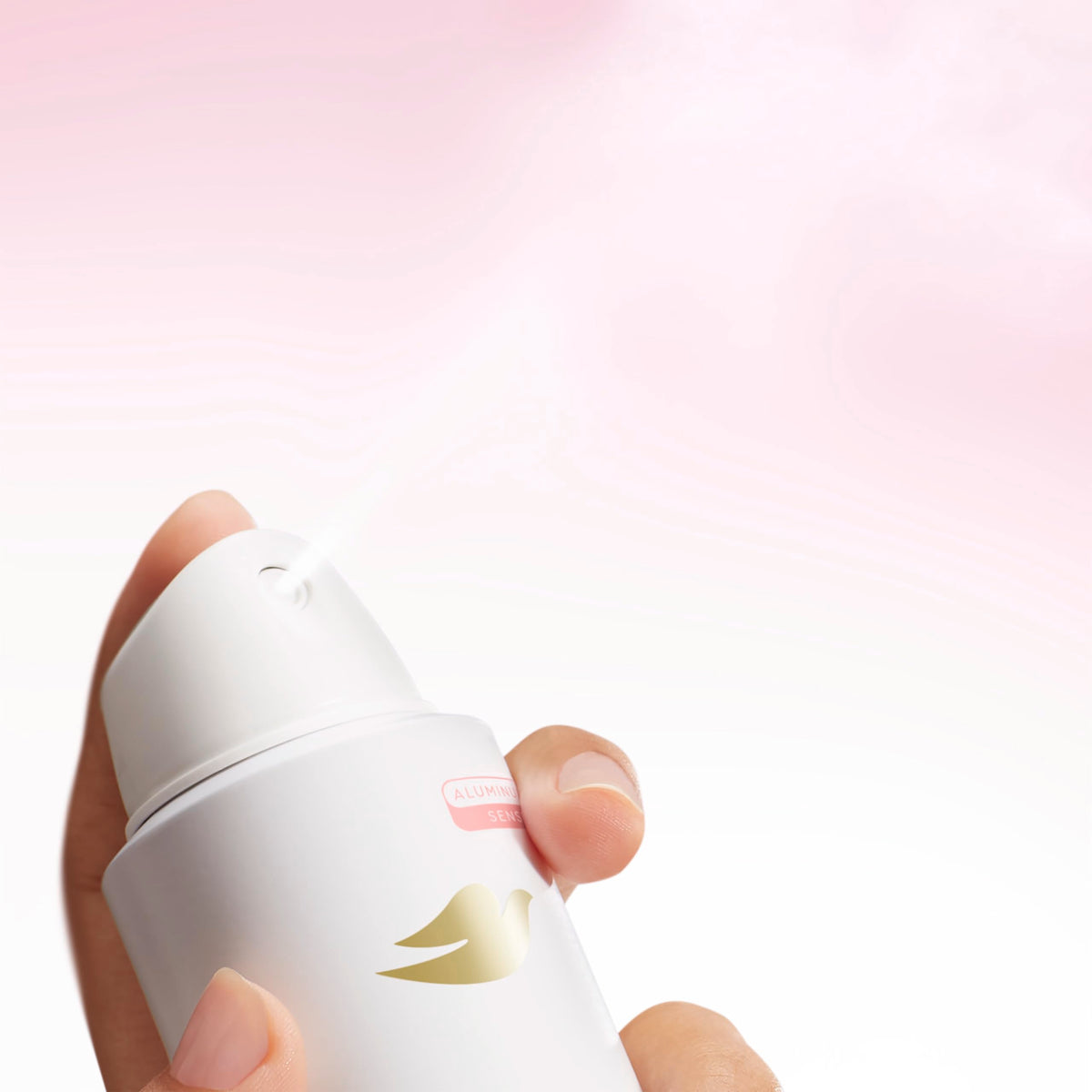 Dove Raspberry & Rose next to hand showing compact 4 oz travel-friendly size
