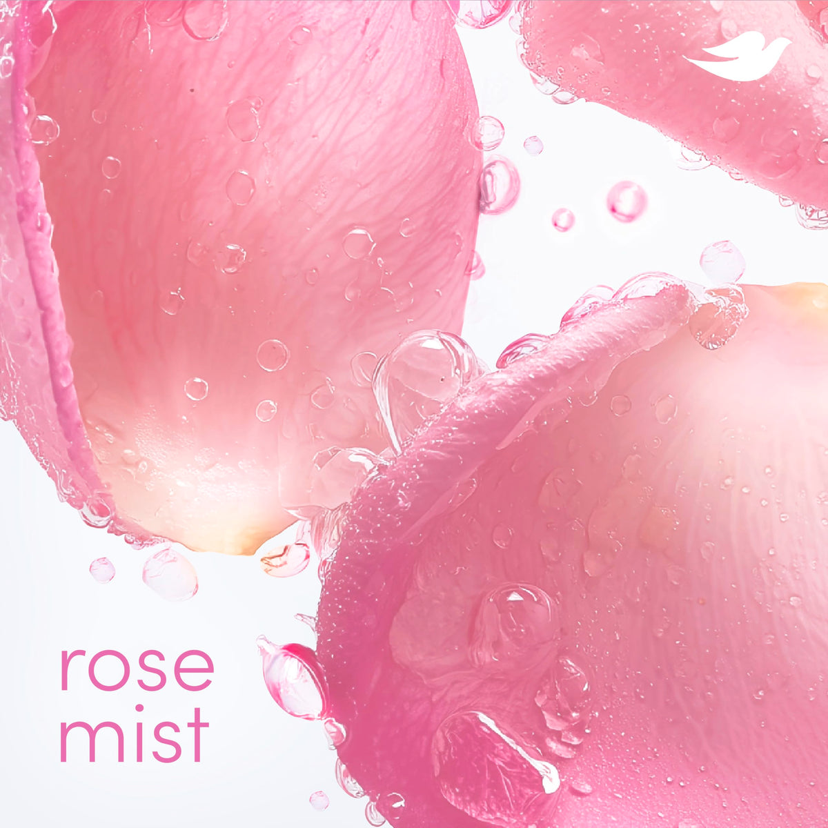 Dove Rose Mist ingredients label showing aluminum-free formulation for gentle care