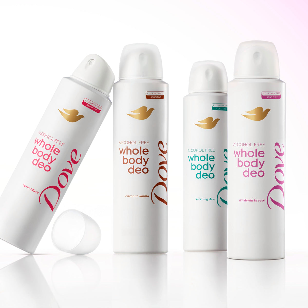 Dove in a hand for size comparison showing convenient portable design