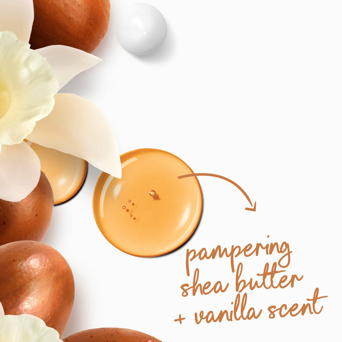 Dove shea butter and vanilla visual suggesting warm soothing scent