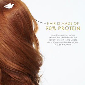 Dove shampoo lather texture detail demonstrating moisturizing foam and softness