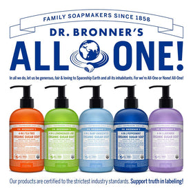 Dr. Bronner's bottle held in hand for scale showing compact 12 oz size ideal for travel